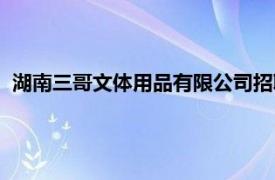 湖南三哥文体用品有限公司招聘（湖南三哥文体用品有限公司）