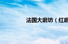 法国大磨坊（红磨坊 法国地标性建筑）