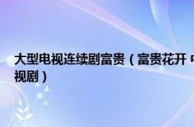 大型电视连续剧富贵（富贵花开 中国广播电影电视节目交易中心出品的电视剧）