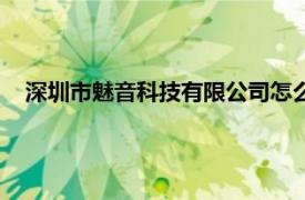 深圳市魅音科技有限公司怎么样（深圳市魅音科技有限公司）