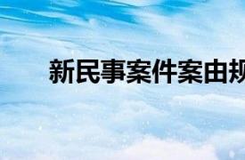 新民事案件案由规定理解与适用2021