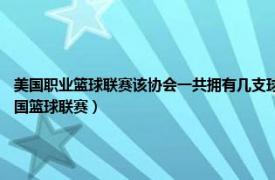 美国职业篮球联赛该协会一共拥有几支球队（美国篮球协会 历史上与NBA分庭抗争的美国篮球联赛）