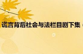 谎言背后社会与法栏目剧下集（真实的谎言 2011年法制栏目剧）