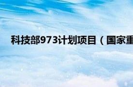 科技部973计划项目（国家重点基础研究发展计划 973计划）