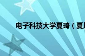 电子科技大学夏琦（夏川 电子科技大学研究人员）