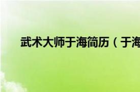 武术大师于海简历（于海 中国武术名家、影视演员）