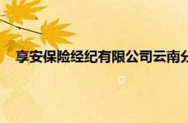 享安保险经纪有限公司云南分公司（享安保险经纪有限公司）