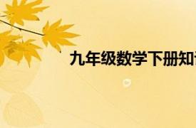 九年级数学下册知识点（九年级数学下）