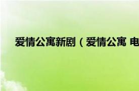 爱情公寓新剧（爱情公寓 电视剧《爱情公寓》系列第一季）