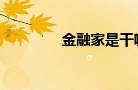 金融家是干嘛的（金融家）