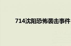 714沈阳恐怖袭击事件（713沈阳恐怖袭击事件）