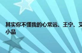 其实你不懂我的心常远、王宁、艾伦和冷在2015年央视元宵晚会上表演的小品