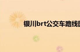 银川brt公交车路线图（宁夏BRT公交路线）