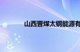 山西晋煤太钢能源有限责任公司三交一号井