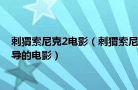 刺猬索尼克2电影（刺猬索尼克2 美国、日本2022年杰夫福勒执导的电影）