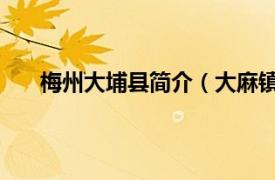 梅州大埔县简介（大麻镇 广东省梅州市大埔县辖镇）