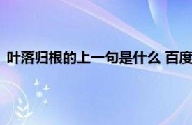 叶落归根的上一句是什么 百度网盘（叶落归根的上一句是什么）