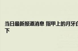 当日最新报道消息 指甲上的月牙白少是病了吗 听医生为您答疑解惑了解一下