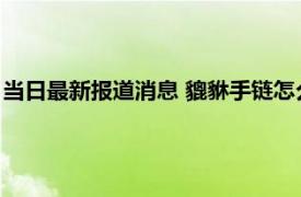 当日最新报道消息 貔貅手链怎么戴是正确的 晚上睡觉要摘下来吗