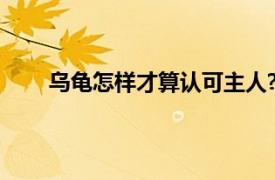 乌龟怎样才算认可主人?（乌龟怎样才算认可主人）