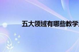 五大领域有哪些教学活动（五大领域有哪些）