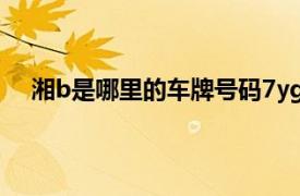 湘b是哪里的车牌号码7yg09（湘b是哪里的车牌号码）