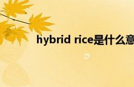 hybrid rice是什么意思（rice是什么意思？）