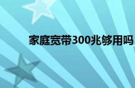 家庭宽带300兆够用吗（家庭宽带100兆够用吗）