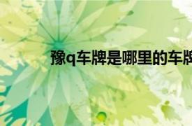 豫q车牌是哪里的车牌号（豫q是哪里的车牌）