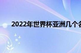 2022年世界杯亚洲几个名额（世界杯亚洲几个名额）