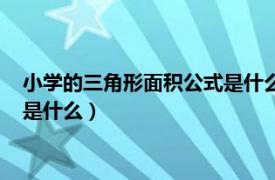 小学的三角形面积公式是什么时候学的（小学的三角形面积公式是什么）