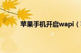 苹果手机开启wapi（苹果wapi打开还是关闭）