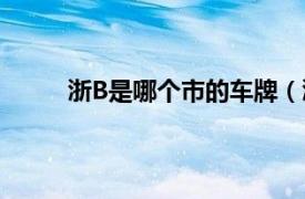 浙B是哪个市的车牌（浙b车牌号是哪个城市的）