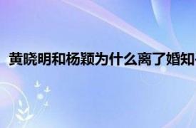 黄晓明和杨颖为什么离了婚知乎（黄晓明和杨颖为什么离了婚）