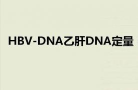 HBV-DNA乙肝DNA定量（HBV-DNA定性定量检测仪）