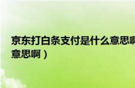 京东打白条支付是什么意思啊怎么关闭（京东打白条支付是什么意思啊）