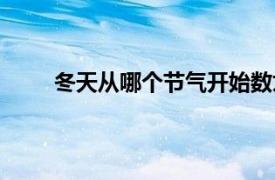 冬天从哪个节气开始数九（冬天从哪个节气开始）