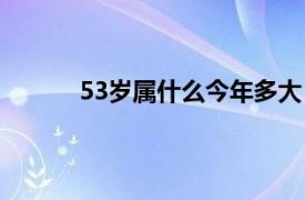 53岁属什么今年多大（53年属什么今年多大）