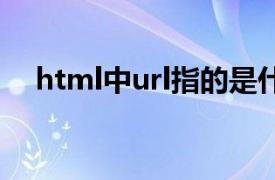 html中url指的是什么（url指的是什么）