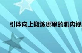 引体向上锻炼哪里的肌肉视频（引体向上锻炼哪里的肌肉）