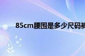 85cm腰围是多少尺码裤子（85cm腰围是多少尺）