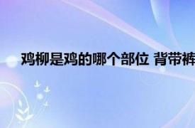 鸡柳是鸡的哪个部位 背带裤什么梗（鸡柳是鸡的哪个部位）