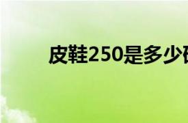 皮鞋250是多少码（250是多少码）