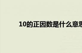 10的正因数是什么意思啊（因数是什么意思啊）