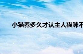 小猫养多久才认主人猫咪不喜欢睡怀里是不相信的意思吗