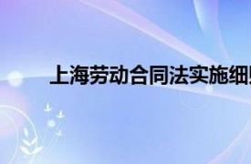 上海劳动合同法实施细则（上海市劳动合同条例）