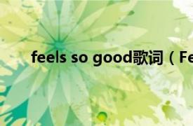 feels so good歌词（Feel Good 谢和弦演唱歌曲）