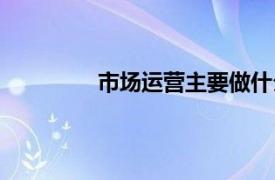 市场运营主要做什么（运营主要做什么）