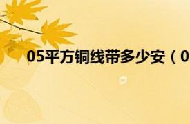 05平方铜线带多少安（05平方铜线带多少瓦的电器）