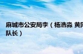 麻城市公安局李（杨浩淼 黄冈市麻城市公安局出入境管理大队大队长）